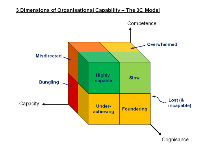 The Importance of Organizational Capability